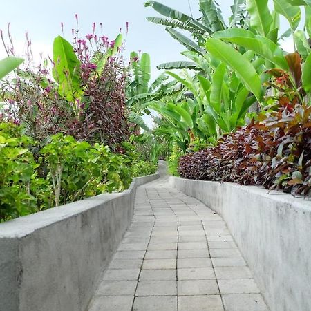 Rendira Villa 2 Ubud Buitenkant foto